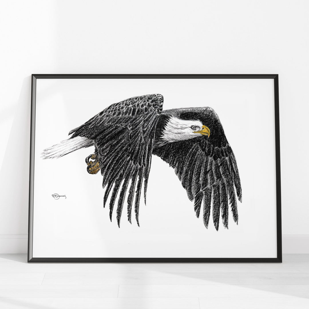 Bald Eagle Illustration - LE NID atelier