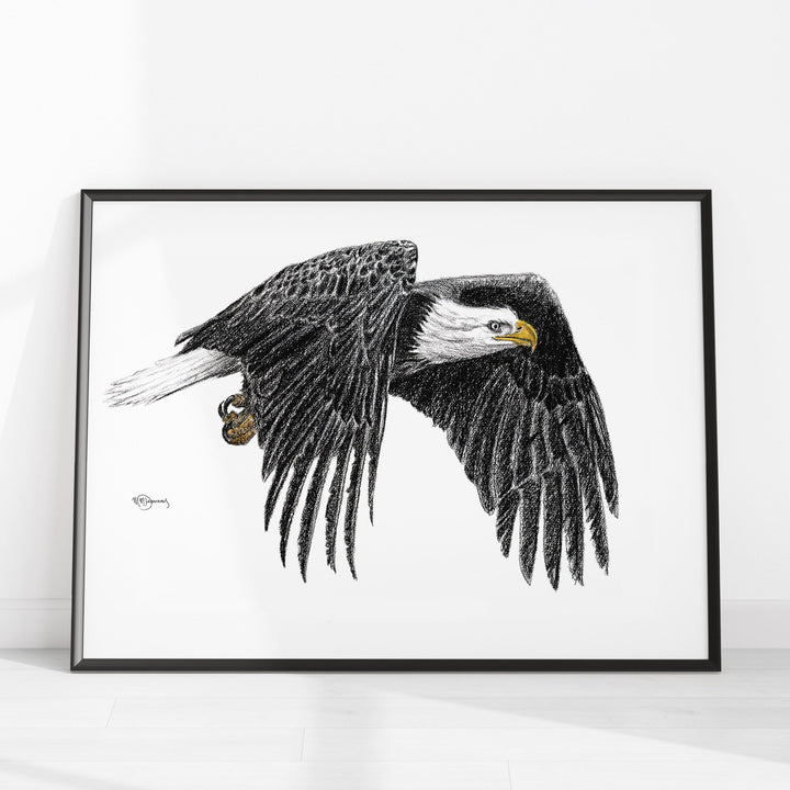 Bald Eagle Illustration - LE NID atelier