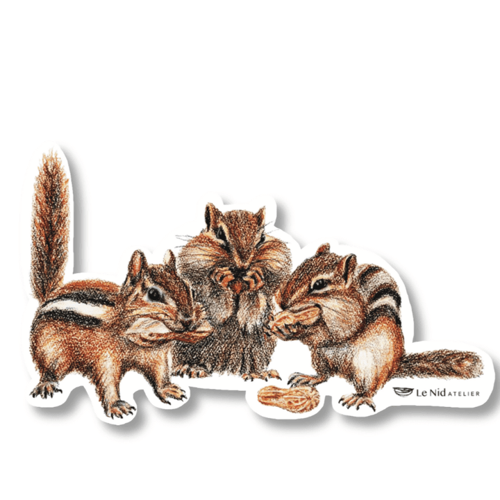 Chipmunks sticker for Water Bottle, Agenda or Computer - LE NID atelier
