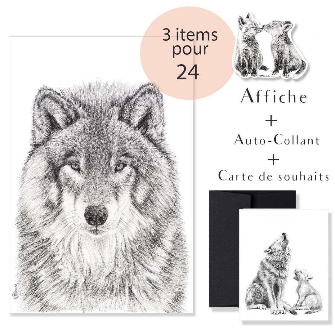 CHOICE - One 8x10 print + One greeting card + One sticker for $24 - LE NID atelier
