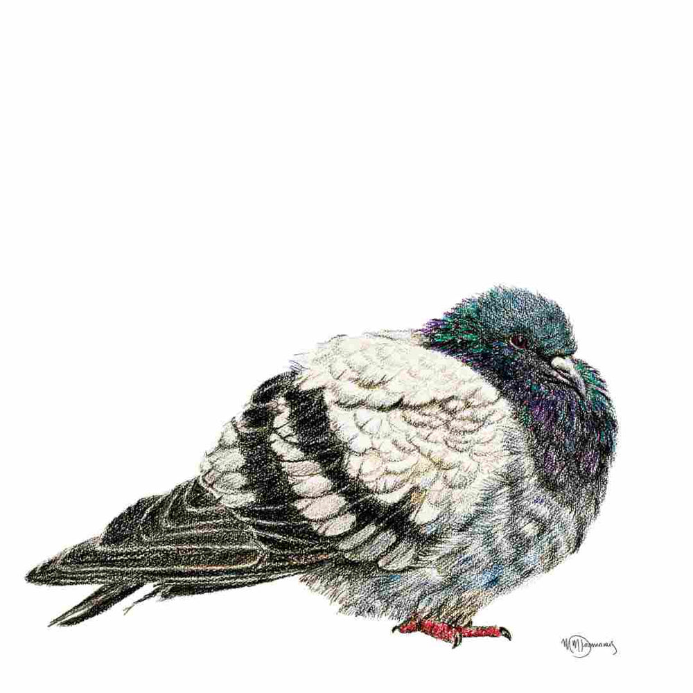 Pigeon - greeting card - LE NID atelier