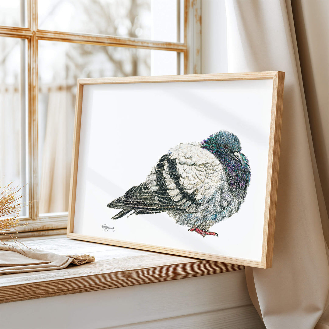 Pigeon Illustration - LE NID atelier