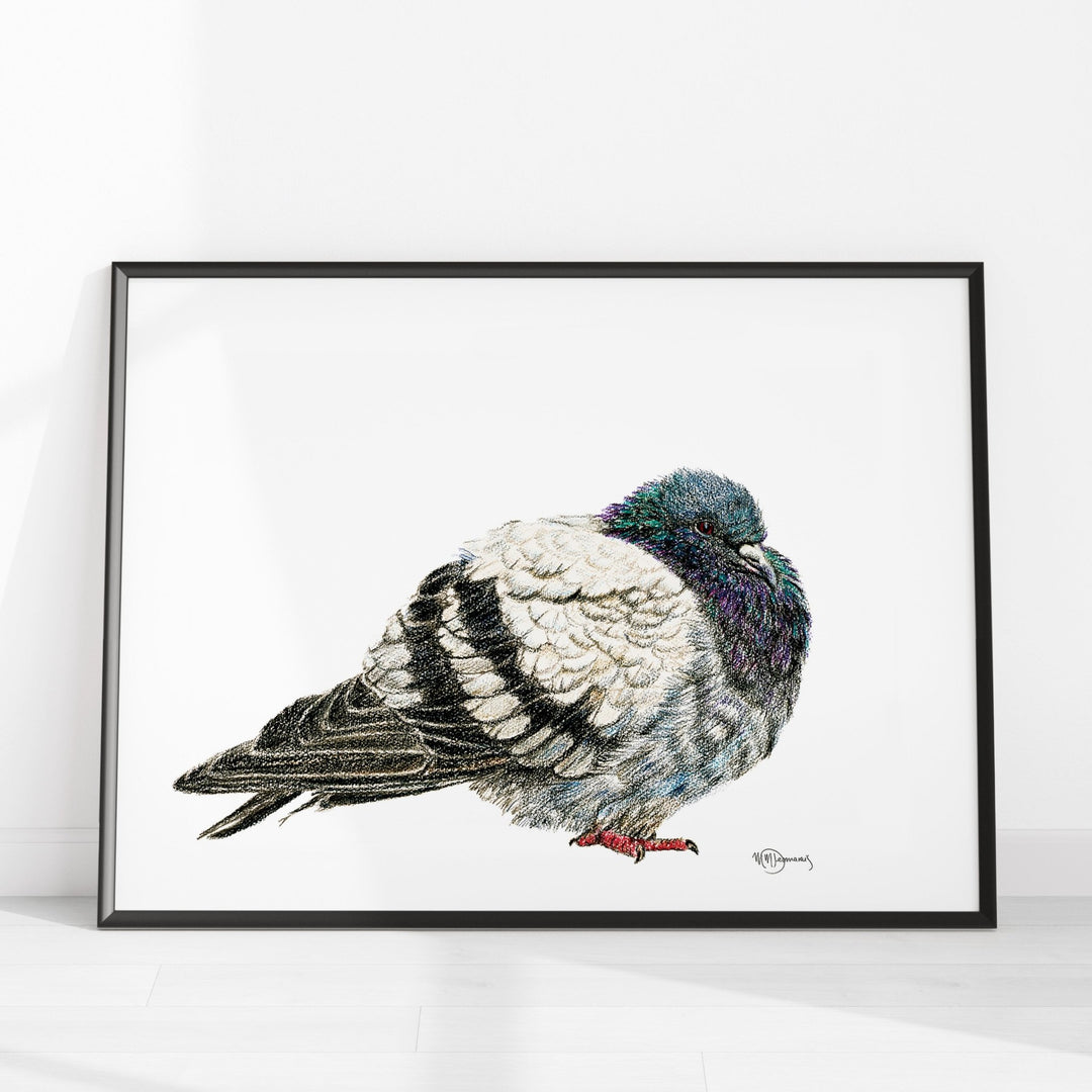 Pigeon Illustration - LE NID atelier