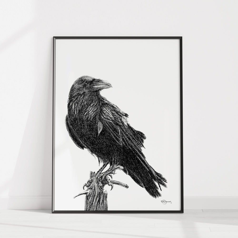 Raven Illustration - LE NID atelier