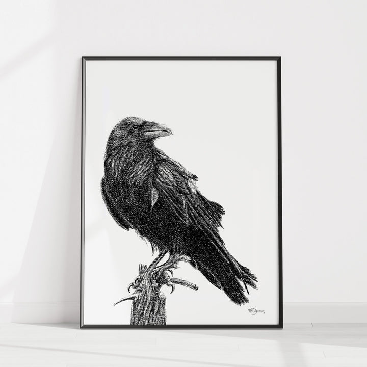 Raven Illustration - LE NID atelier