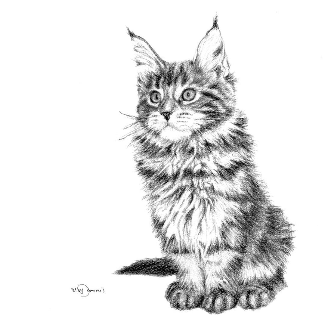 Adorable Cat - LE NID atelier