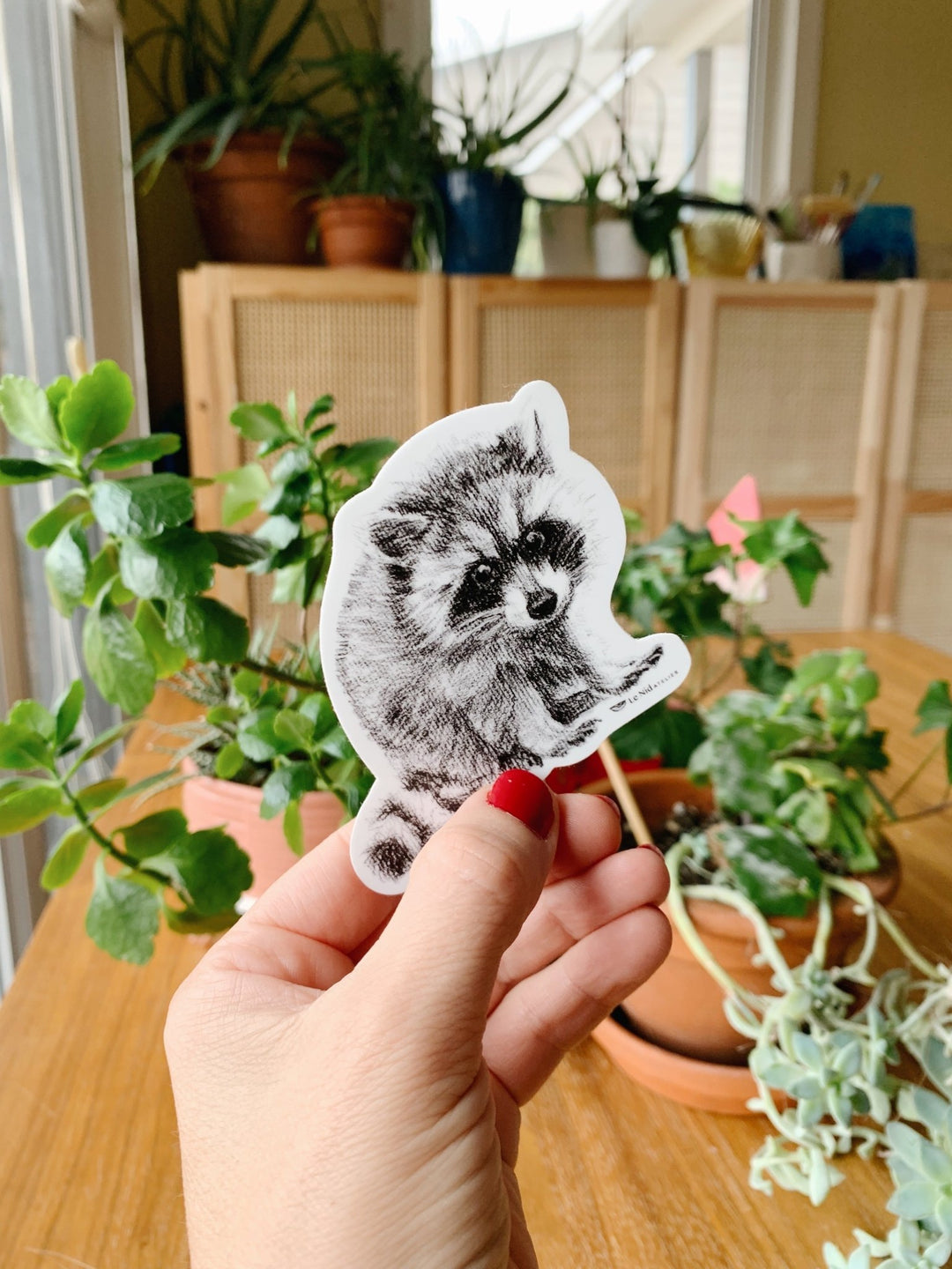 Adorable Raccoon Sticker for Water Bottle, Agenda or Computer - LE NID atelier