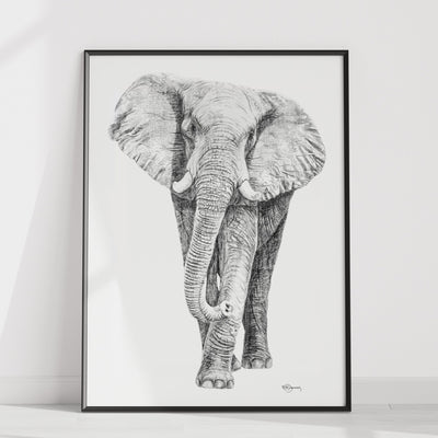 Elephant illustration - 25% of Profit go to La Fondation du Zoo de Granby - LE NID atelier