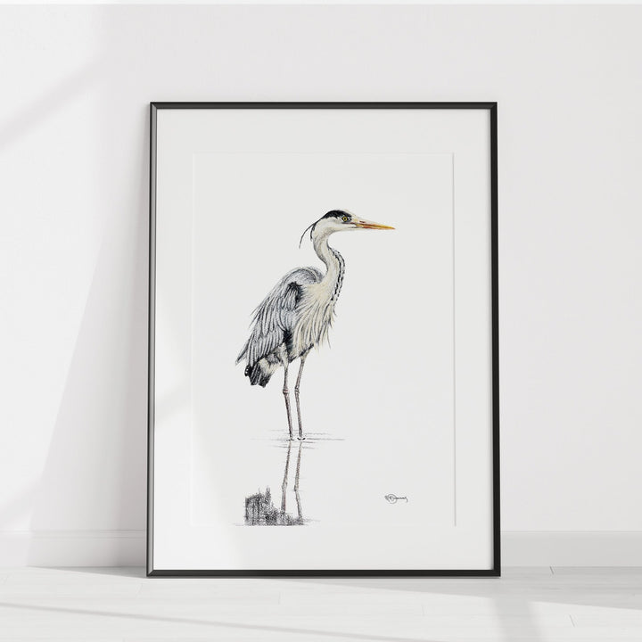 Great Blue Heron walking in water NO 1 - illustration - LE NID atelier