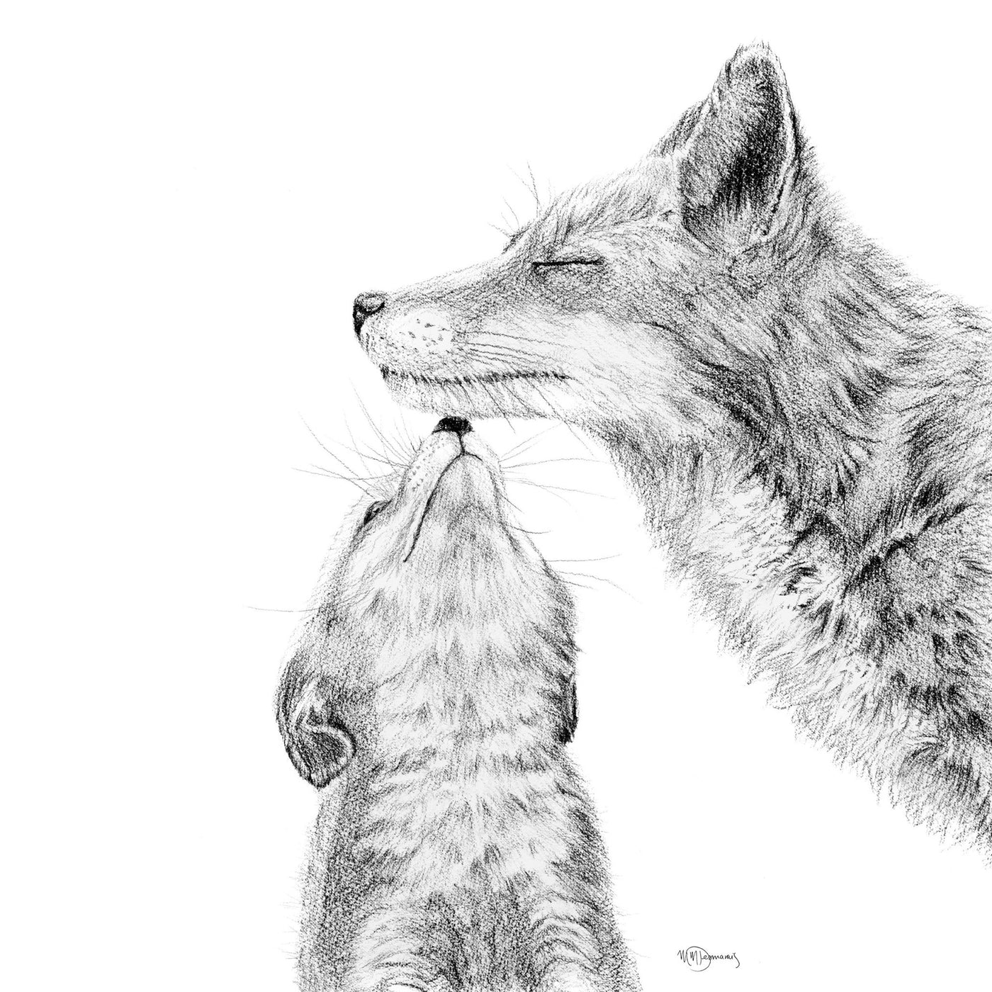 Mama fox with cub - kissing - Black and White - greeting card - LE NID atelier