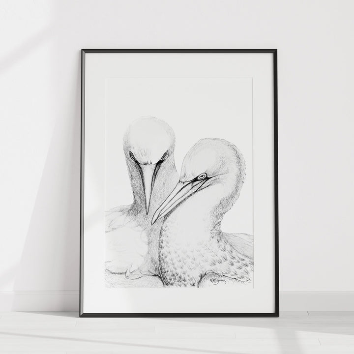 Original Artwork Northern Gannet - LE NID atelier