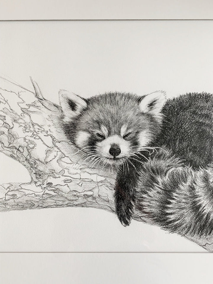 ORIGINAL ARTWORK - Red Panda - From the Zoo de Granby Collaboration - LE NID atelier