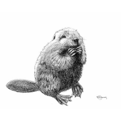 SOLD- Original Artwork - Beaver Illustration - "Social Animal" Collection - LE NID atelier