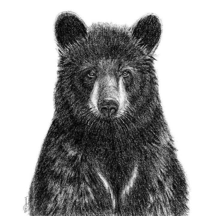 1 Black Bear Portrait - Rigid Framed Canvas - LE NID atelier