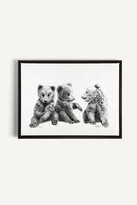 3 Brown Bear Cubs, canvas print