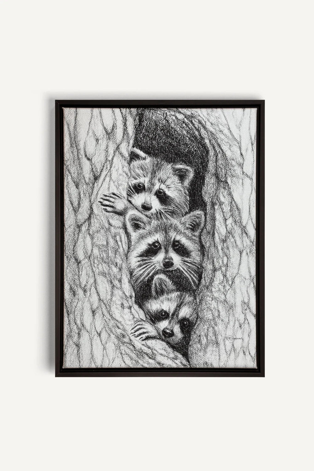 3 Raccoons in a tree, canvas print - LE NID atelier