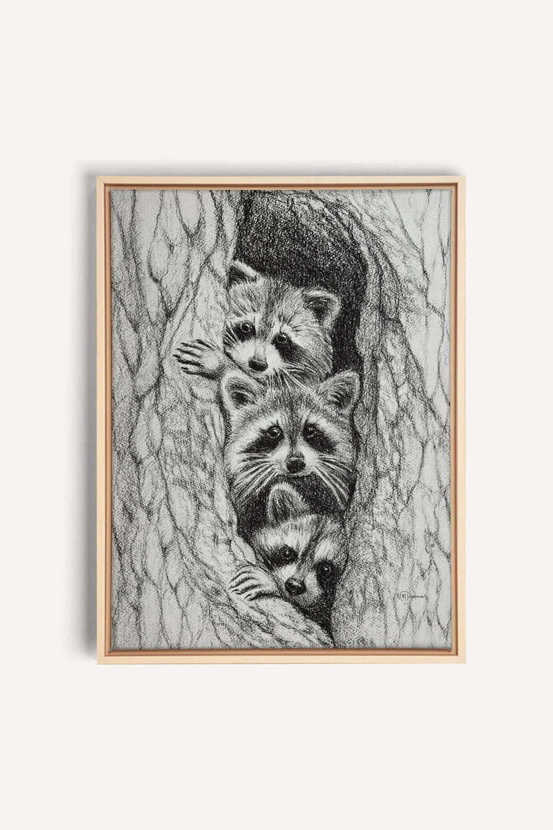 3 Raccoons in a tree, canvas print - LE NID atelier