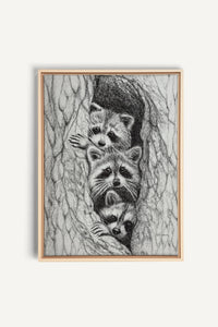 3 ratons laveurs dans un arbre, impression sur toile