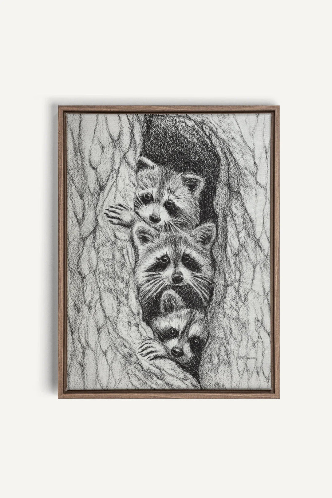3 Raccoons in a tree, canvas print - LE NID atelier
