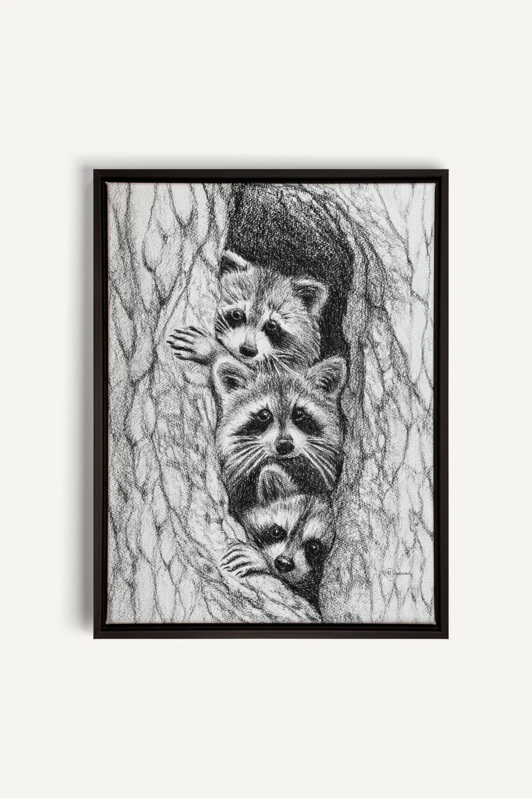 3 Raccoons in a tree, canvas print