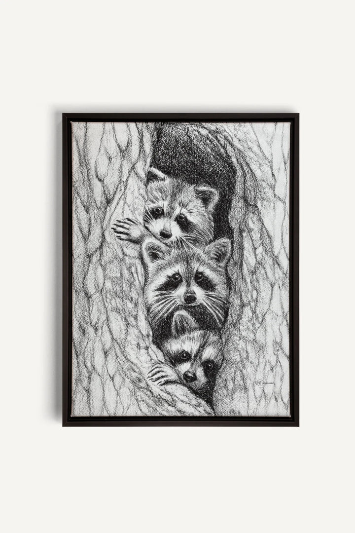 3 Raccoons in a tree, canvas print