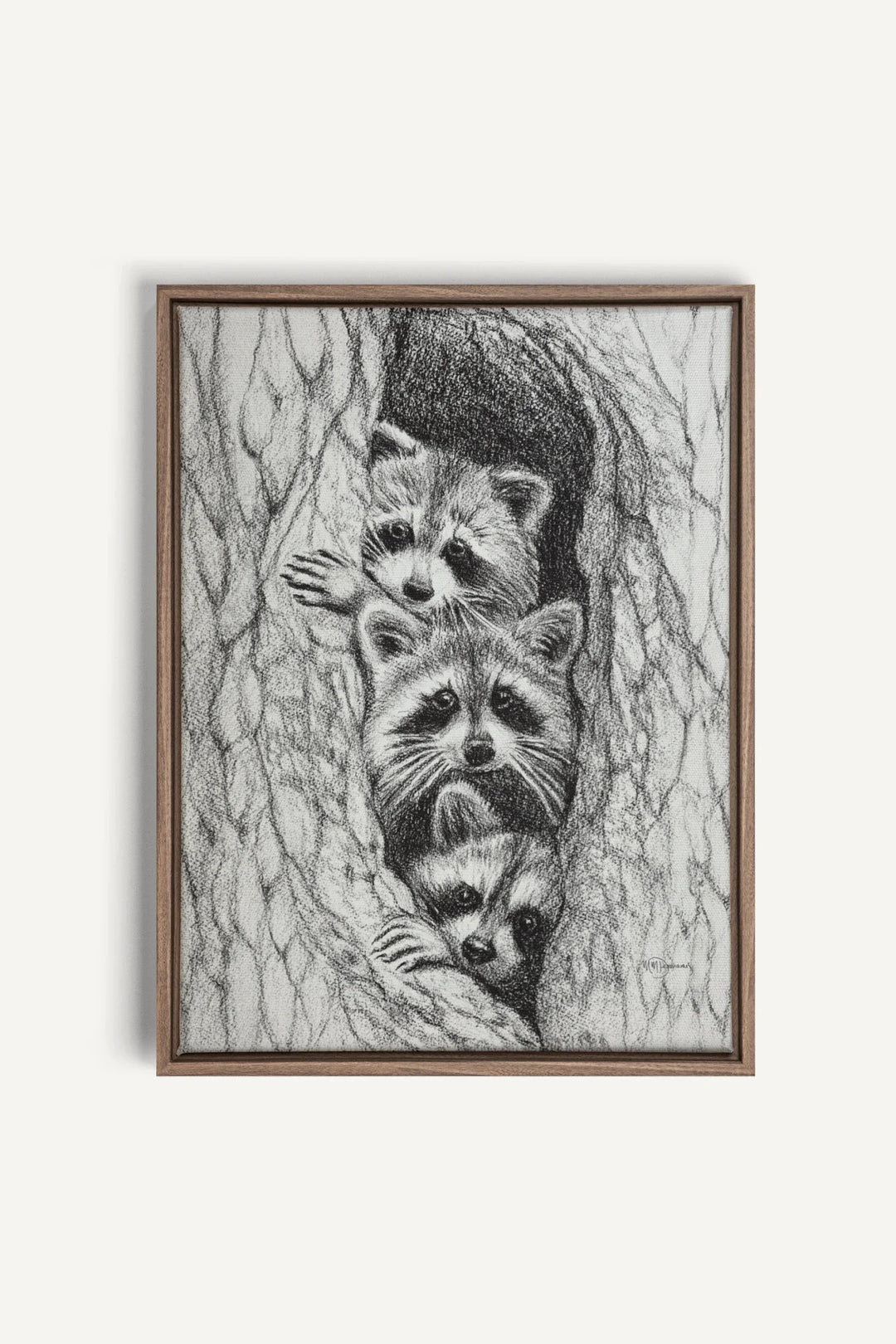 3 Raccoons in a tree, canvas print