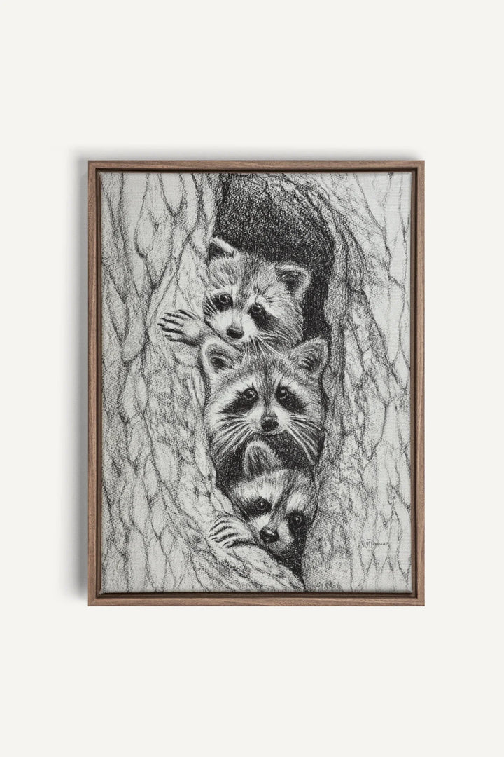 3 Raccoons in a tree, canvas print