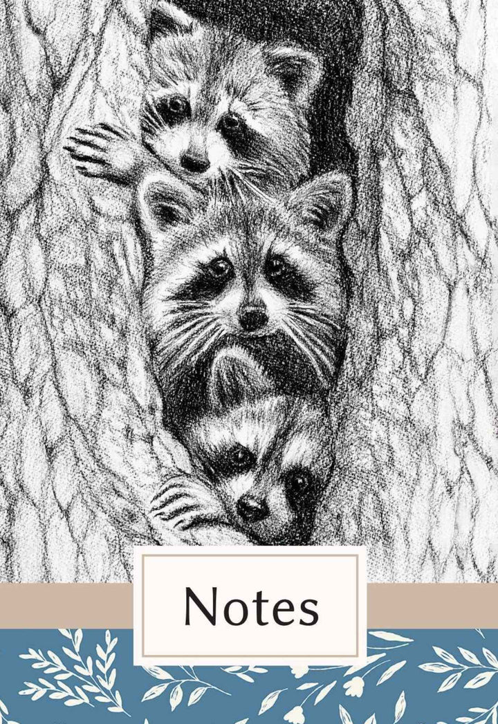 Notebook Trio