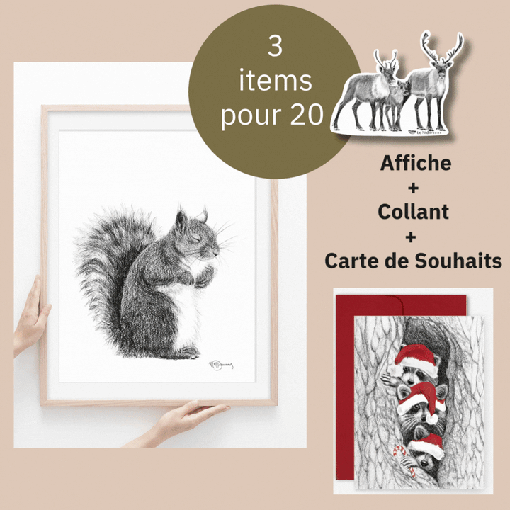 CHOIX - Une impression 8x10 + Une carte de souhaits + UN collant pour $24