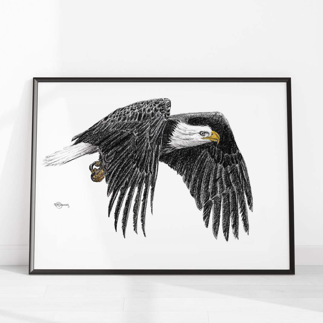 Aigle Royal - Illustration