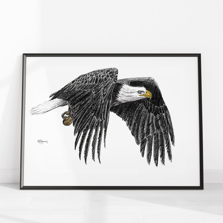 Aigle Royal - Illustration