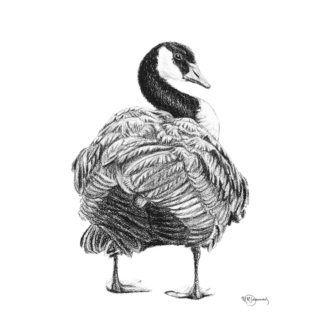 Canada Goose - greeting card
