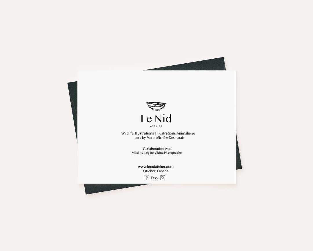Pigeon - greeting card