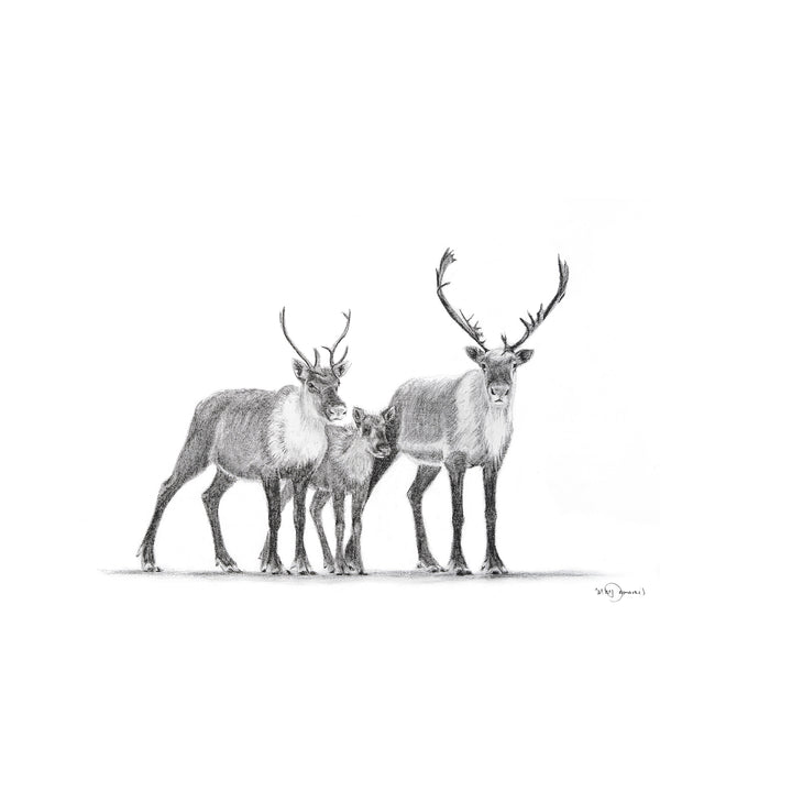 Caribou family Greeting Card