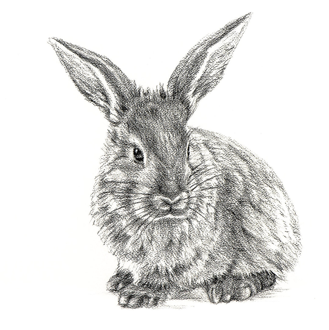 Cute Rabbit Profile - Black and White Nursery Wildlife Art Print