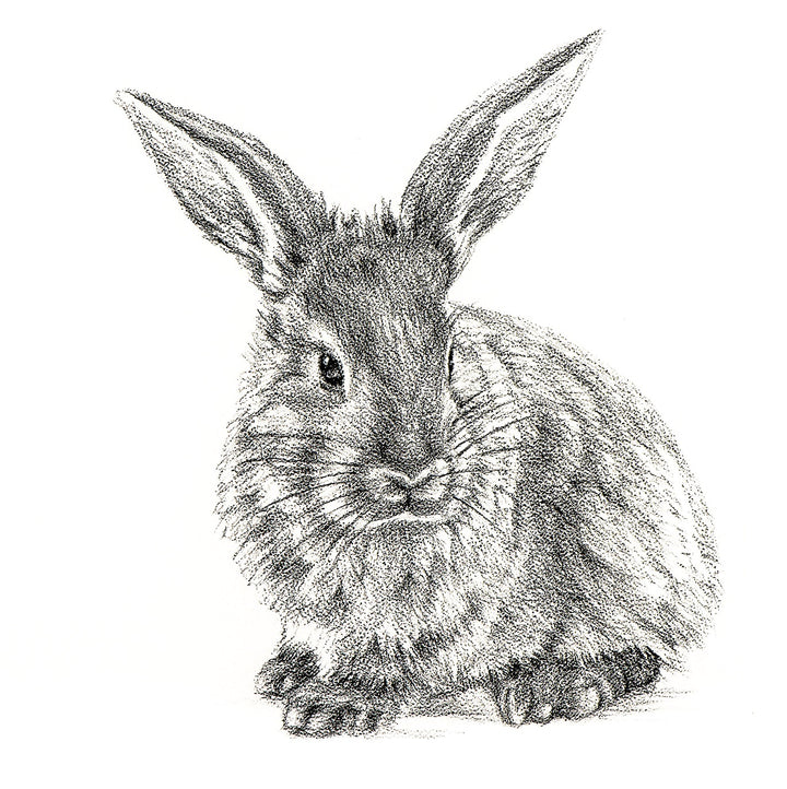 Cute Rabbit Profile - Black and White Nursery Wildlife Art Print