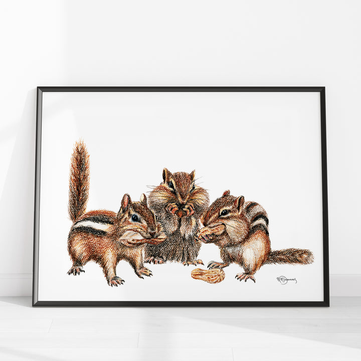 3 Tamias Rayés - Illustration colorée
