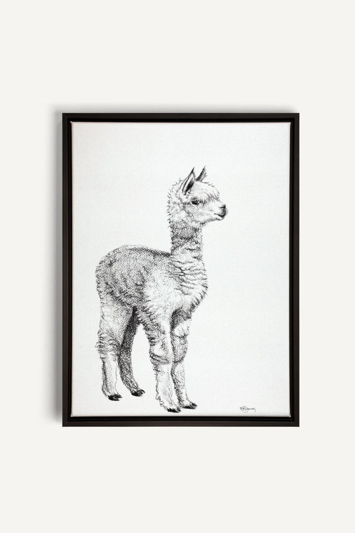 Adorable Alpaca, canvas print - LE NID atelier