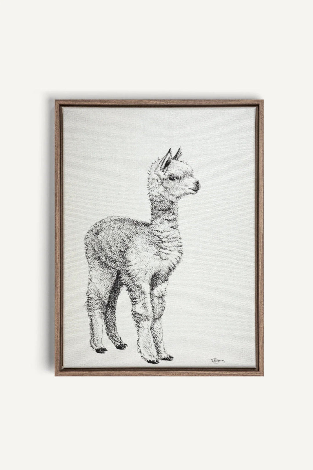 Adorable Alpaca, canvas print - LE NID atelier