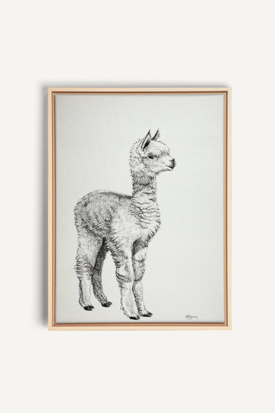Adorable Alpaca, canvas print - LE NID atelier