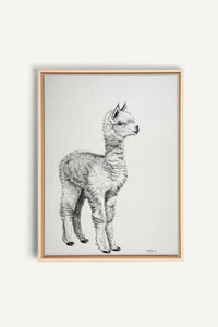 Adorables Alpagas, impression sur toile