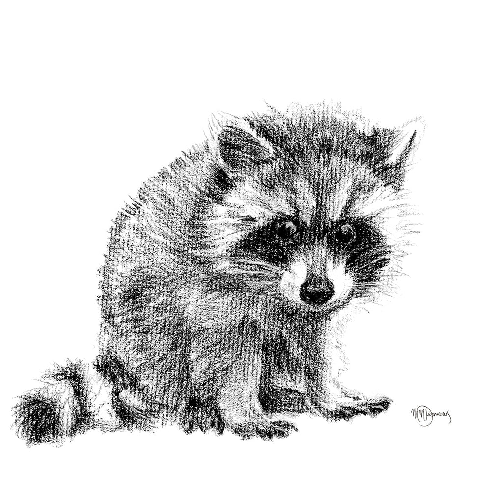 Adorable Baby Raccoon - Black and White Nursery Wildlife Art Print - LE NID atelier