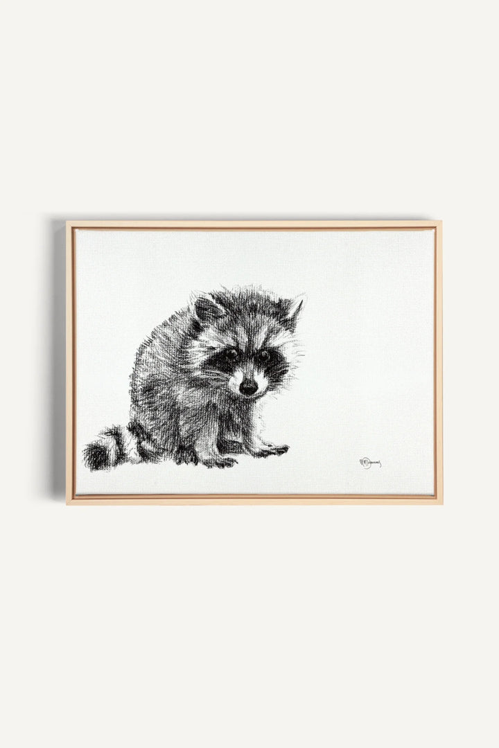 Adorable Baby Raccoon, canvas print