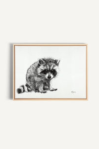 Adorable Baby Raccoon, canvas print