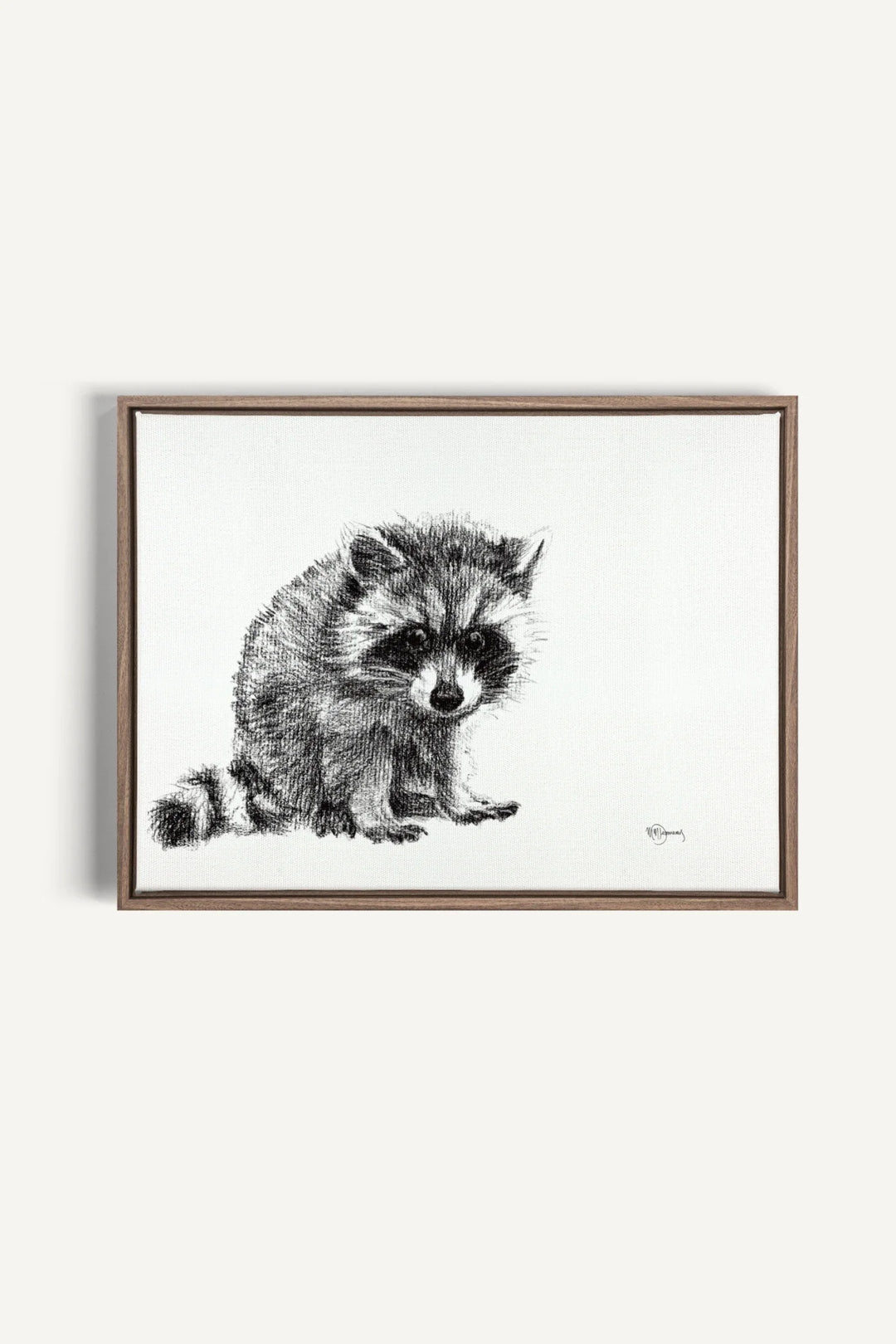 Adorable Baby Raccoon, canvas print