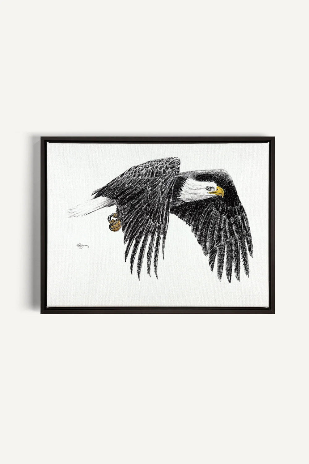 Bald Eagle, canvas print - LE NID atelier