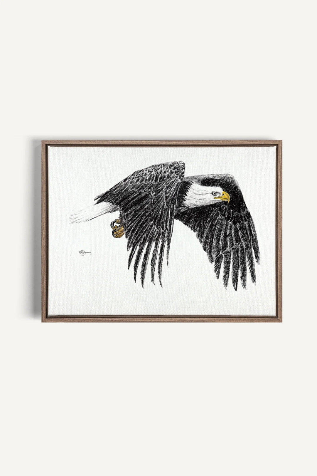 Bald Eagle, canvas print - LE NID atelier