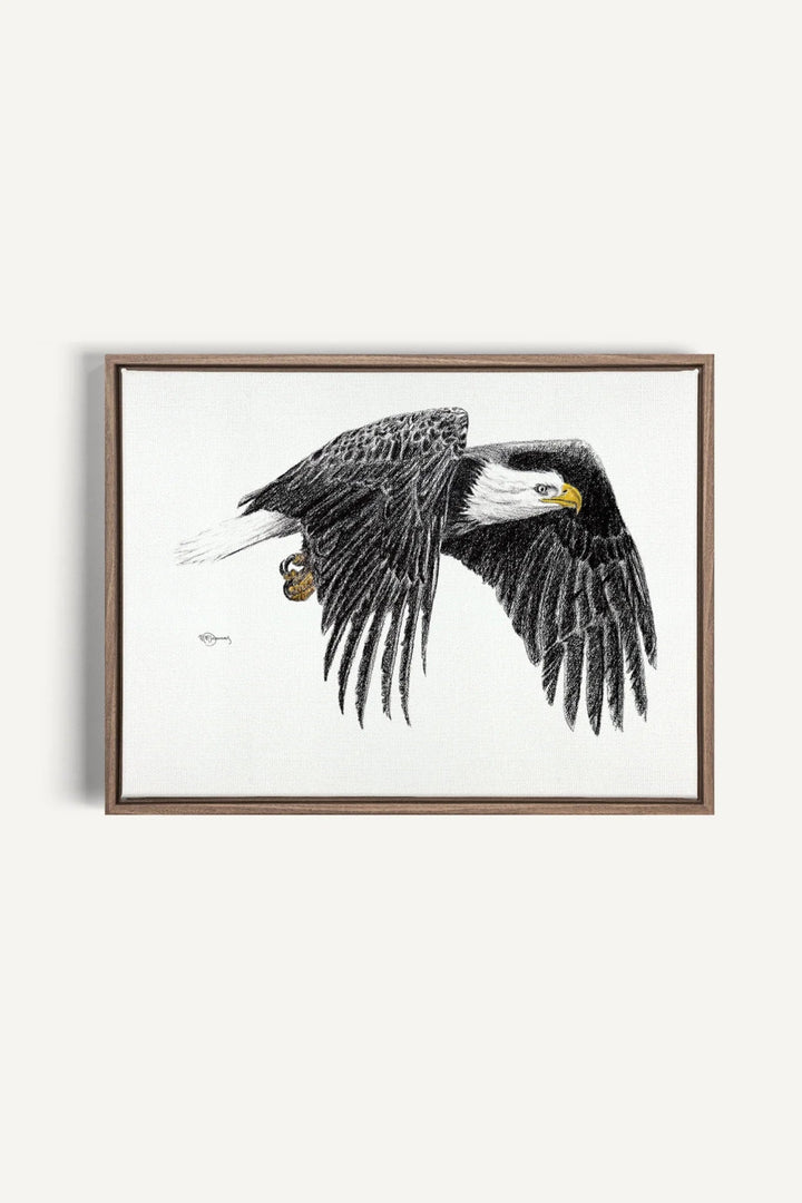 Bald Eagle, canvas print - LE NID atelier