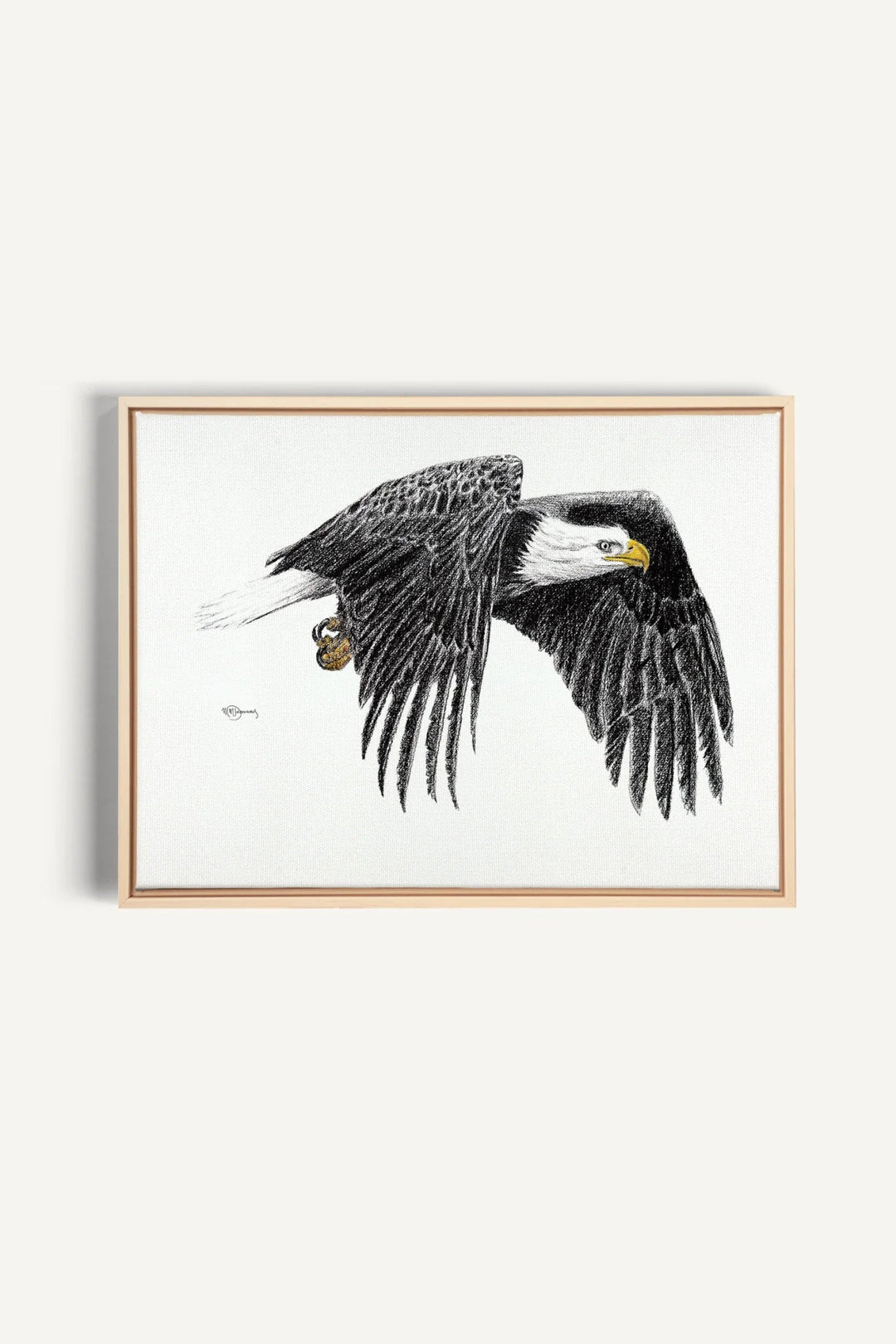 Bald Eagle, canvas print - LE NID atelier
