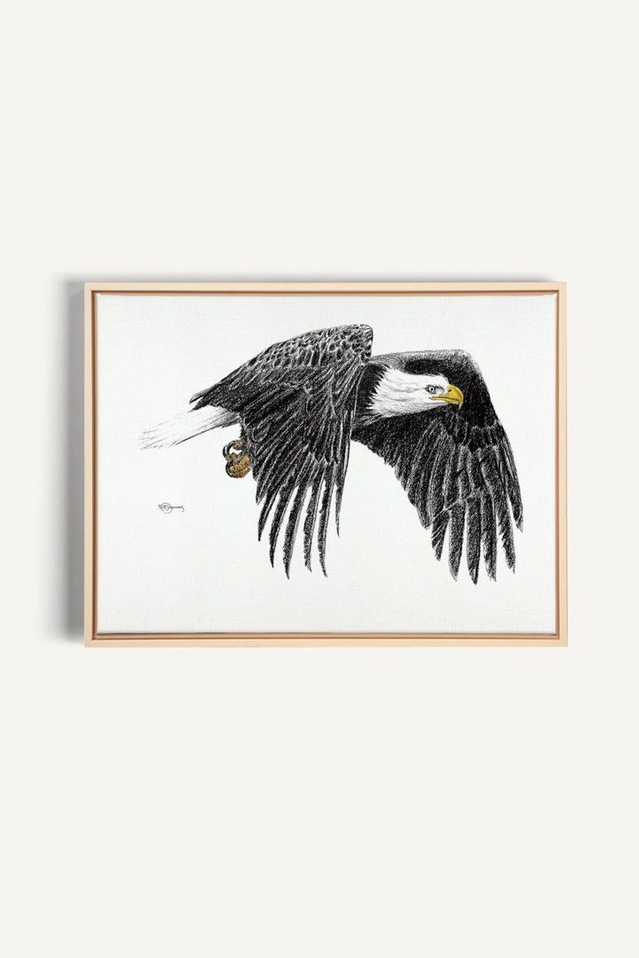 Bald Eagle, canvas print - LE NID atelier